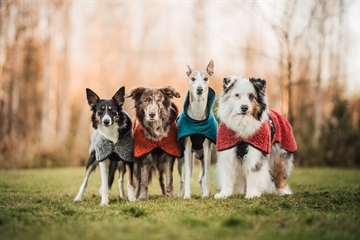 Hundlands HYBRIDO Ulddækken